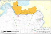 Site Natura 2000 Côte Bleue Marine